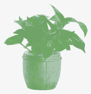 Mb Image/png - Stock.xchng