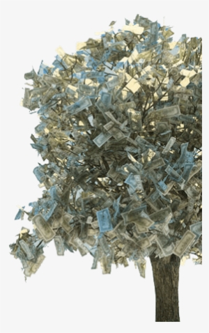 The Money Tree Collection - Money