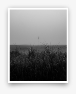 Fog Fescue Giclée Print - Monochrome