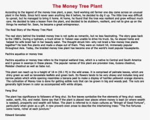 Jade Plant Feng Shui