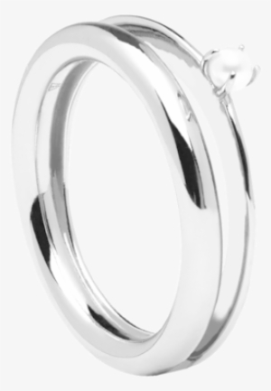 Marion Gold Ring - Pd Paola Garçon Marion Ring An02-112