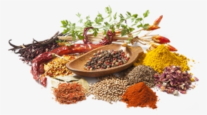 The Celestial Journey Of Bughary Bio Spices Started - Spices In Sri Lanka