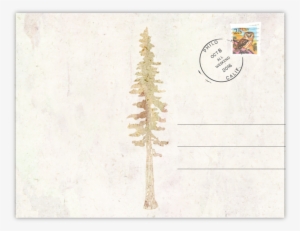 Postcard Back Drop Shadow - Paper