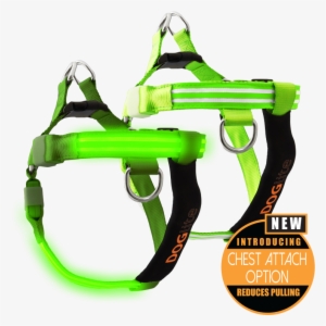 Double Trouble Led Dog Harness - Pet Harness