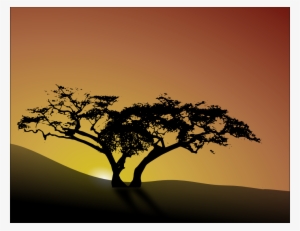 Tree Shadow - Shadow Drawing Of Tree