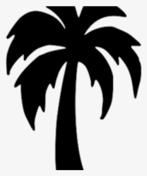 Shadow Clipart Coconut Tree - Clip Art