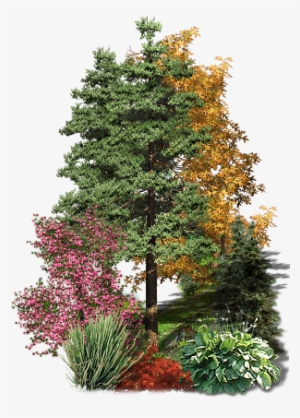 Add - Bomen Psp Tubes