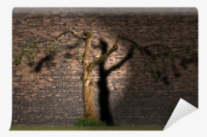 Blossoming Apple Tree With Shadow Wall Mural • Pixers® - Apple