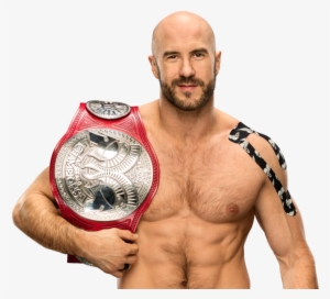 Cesaro Tag Team Champion