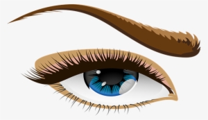 Eye Blue Eyes Eyelid Iris Eyebrows Brows S - Human Eye Clip Art