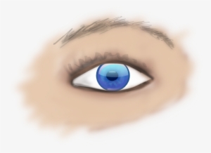 Eye, Iris, Blue, Face, Human, Looking - Human Eye Art Png