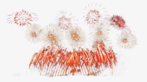Firework Explosions Transparent Image Royalty Free - Dandelion