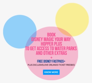 Disney Walt Disney World - Journey Of Success Against All Odds