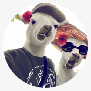 Draw You As A Silly Llama - Draw Llamas