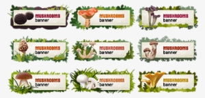 Set Of Delicious Mushroom Vector Banners - Mushroom