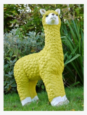 Liv The Llama - Llama