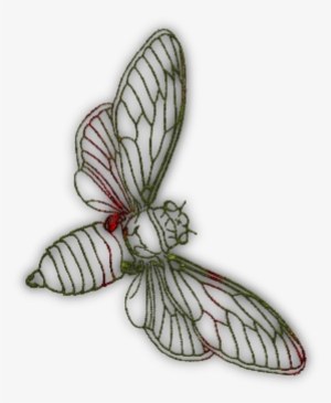 Transparent Background Bee - Portable Network Graphics