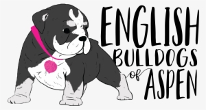 Renascence Bulldogge