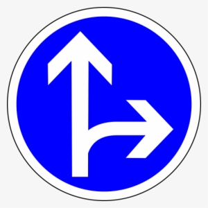 Traffic Sign,sign,go Straight Or - Traffic Signs Go Straight