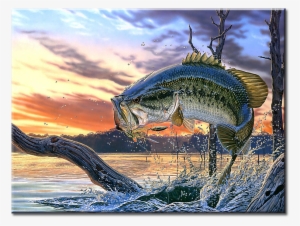 Large Mouth Bass Fishing