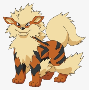Arcanine - Pokemon Arcanine