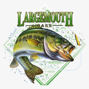 Fishing, Fishing T-shirts Or Fishing Sweatshirts, Largemouth