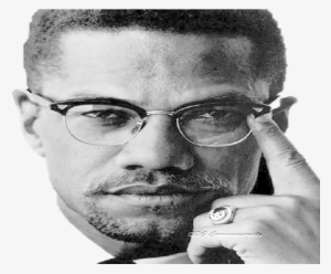 You Can't Hate The Roots Of A Tree, Malcolm X - Malibu Pier