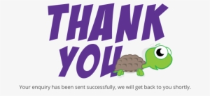 3000 Thank You - Tortoise