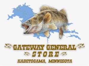Walleye Fish