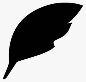 Feather Pen Isntrument Draw - Drawing