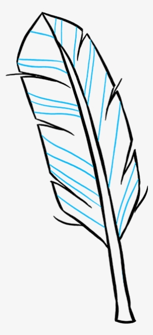 How To Draw Feather - Drawing