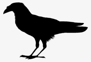 320 × 240 Pixels - Bird Clip Art Black