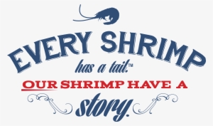 Everyshrimp-wasi