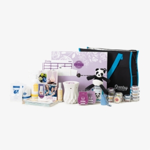 The Scentsy Starter Kit - Scentsy September 2018 Kit