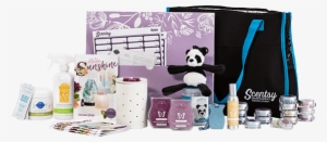 R1 Home Starterkit Iso Usen Ss18 600×600 - Scentsy Starter Kit 2018