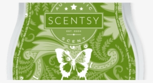 Sea Salt & Avocado - Scentsy