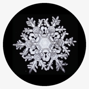 #happynationaldonutday For All The Lovers Of That Sweet - Escher Double Planetoid