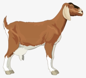 This Free Clipart Png Design Of Goat Clipart