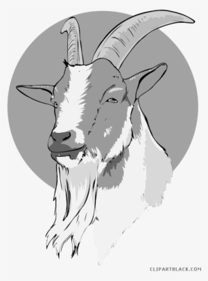 Goat Head Drawing Png