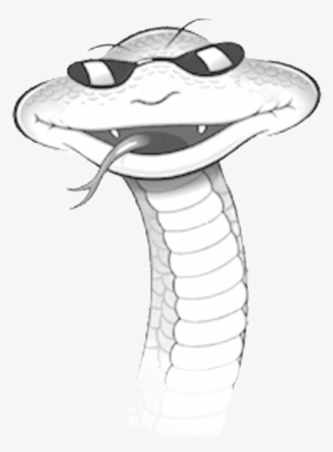 Rattler Snake Footer For Site - Healeys Cornish Cyder Farm Gift Box