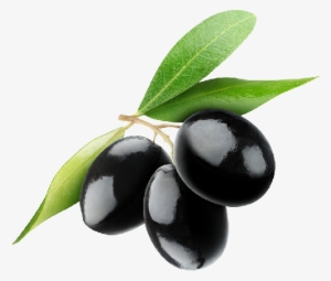 Frantoio Extra Virgin Olive Oil - Olives Png