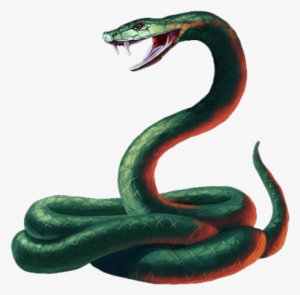 Snake Transparent
