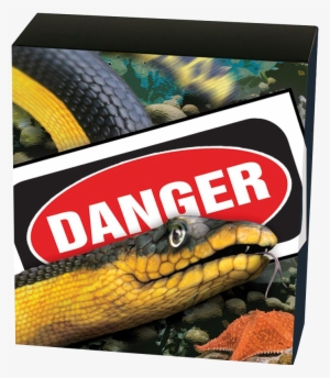 Zoom - Yellow Bellied Black Sea Snake