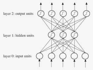Multilayer Perceptron Architecture - Common Fig