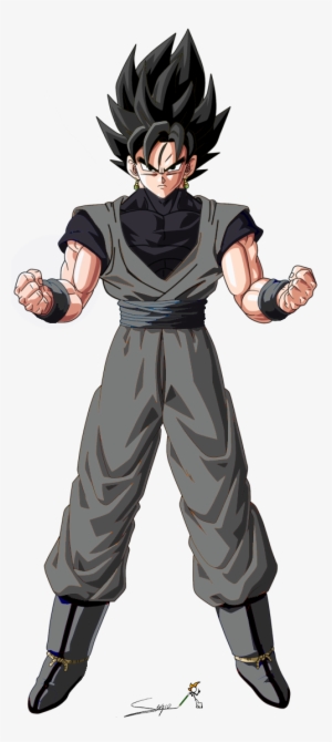 No Caption Provided - Goku And Goku Black Fusion