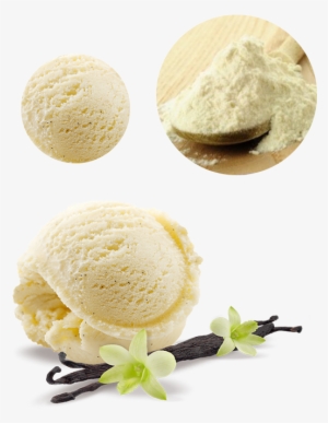 Ice Cream Vanilla Png