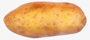 12 Ounce - Yukon Gold Potato
