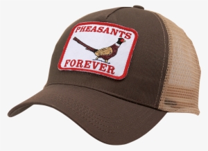 Pheasants Forever On Twitter - Pheasants Forever Retro Cap