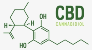What A Cbd Molecule Looks Like - Cbd Molecule