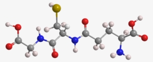 Glutathione - American Chemical Society